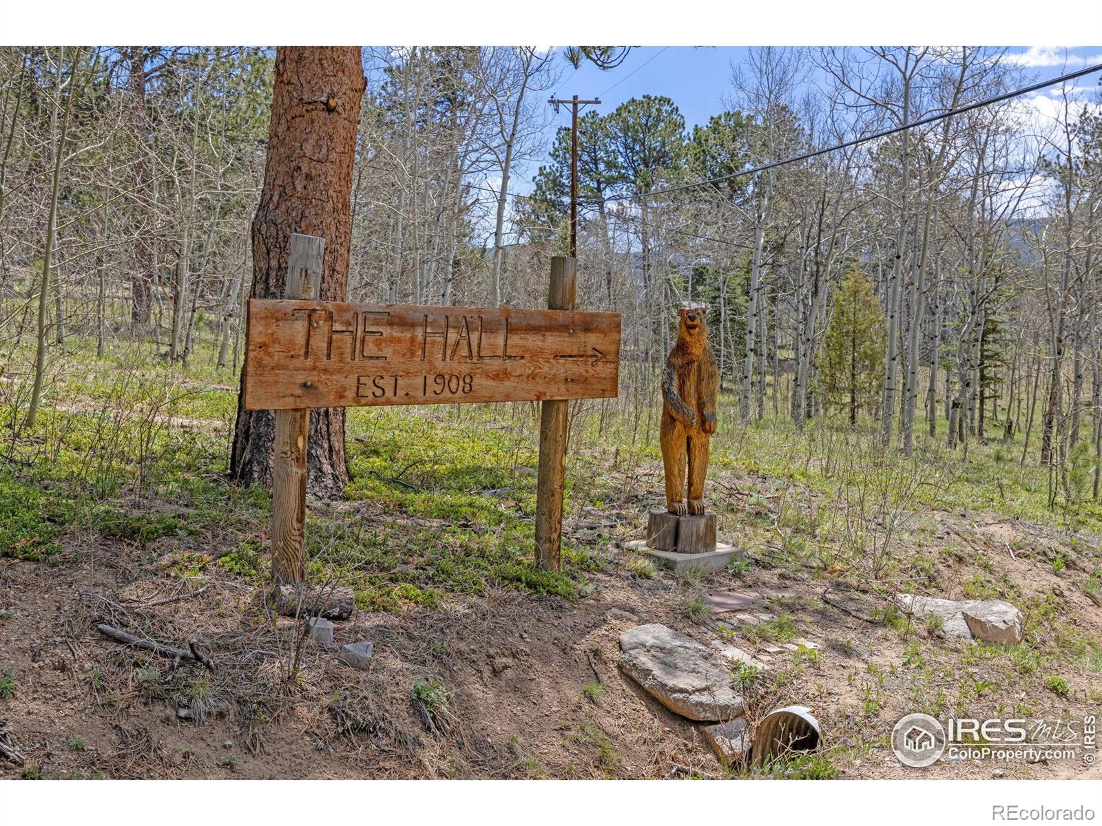 MLS Image #22 for 3497  coal creek canyon drive,pinecliffe, Colorado