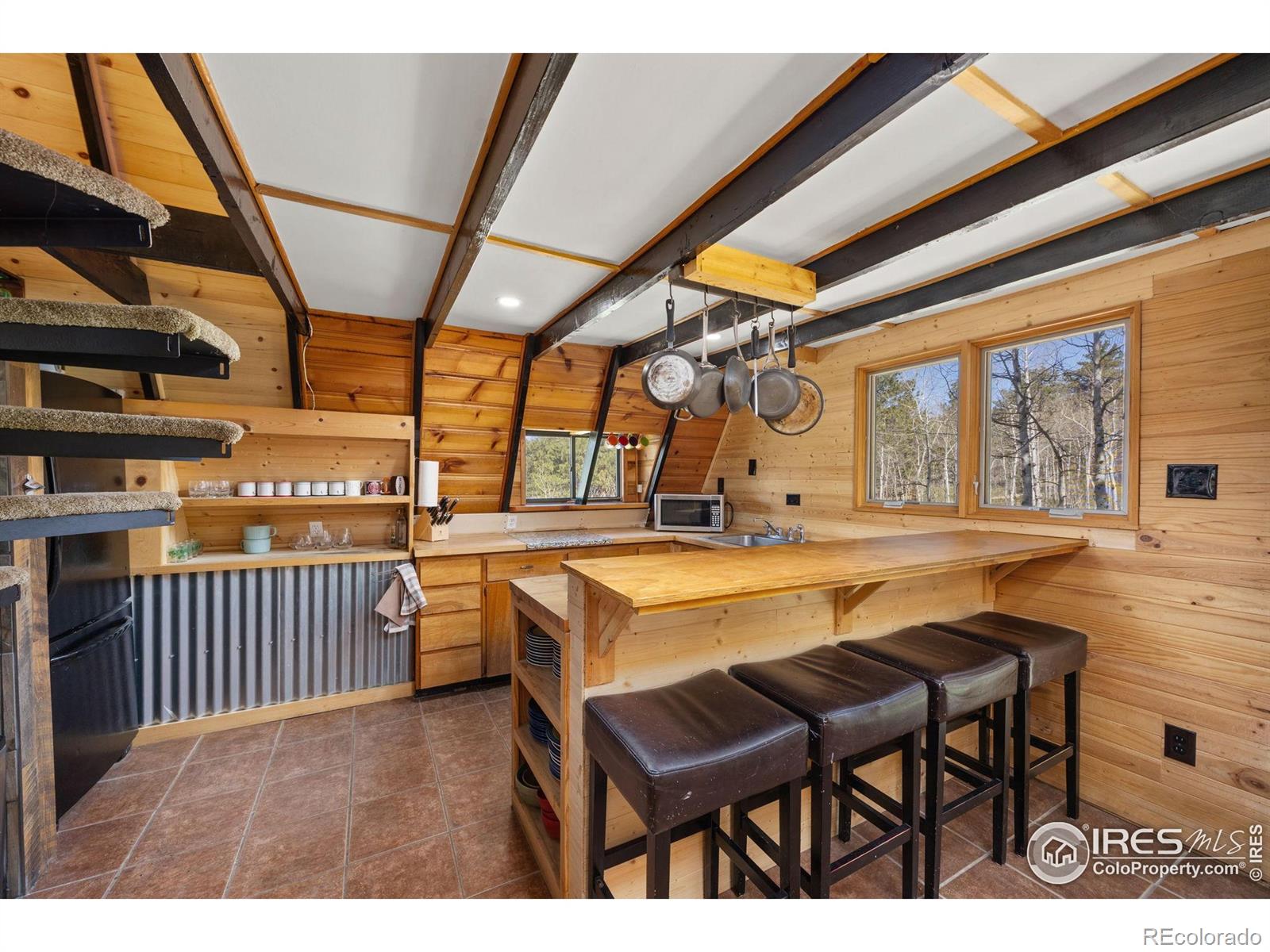 MLS Image #4 for 3497  coal creek canyon drive,pinecliffe, Colorado