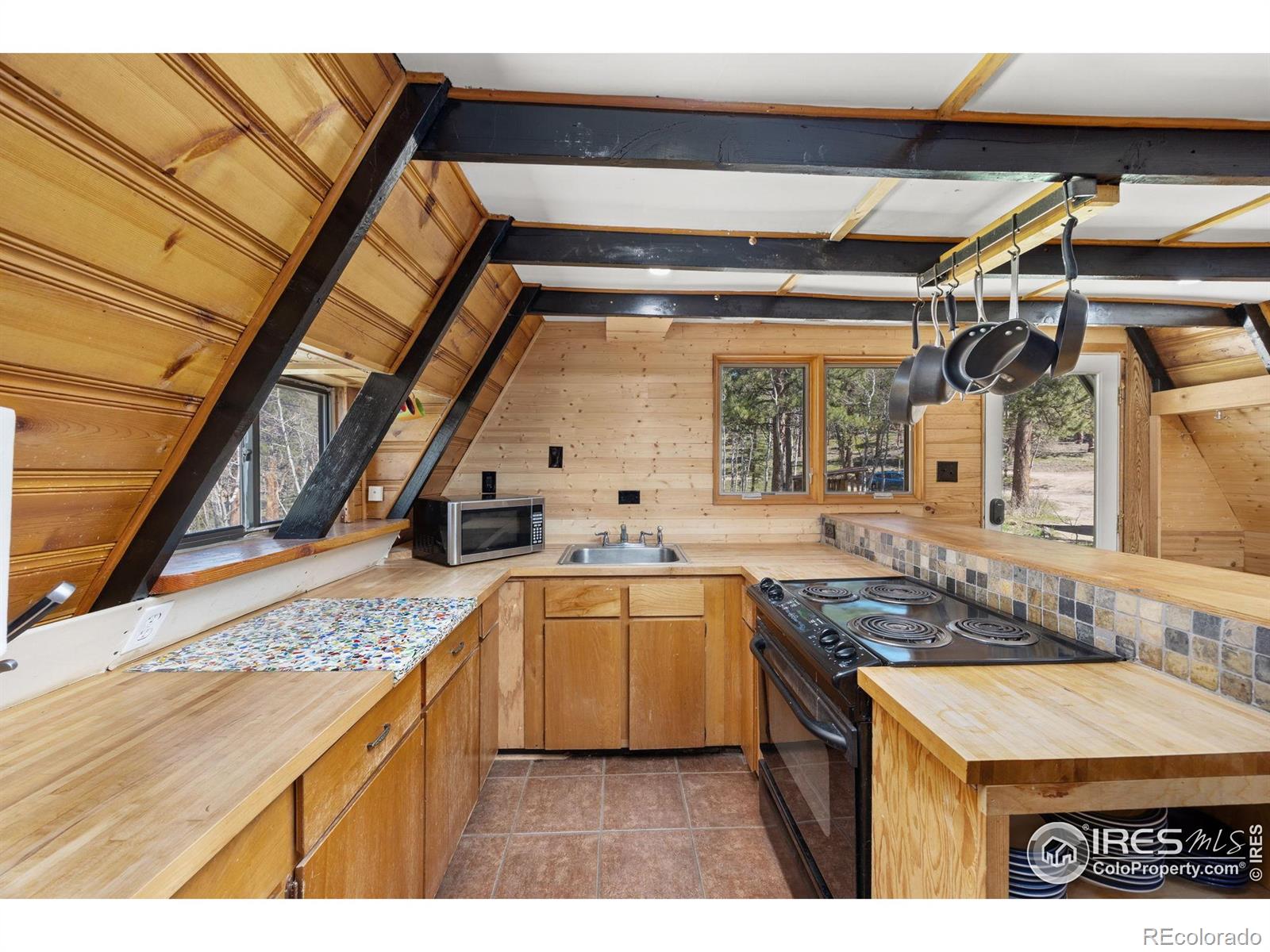 MLS Image #5 for 3497  coal creek canyon drive,pinecliffe, Colorado