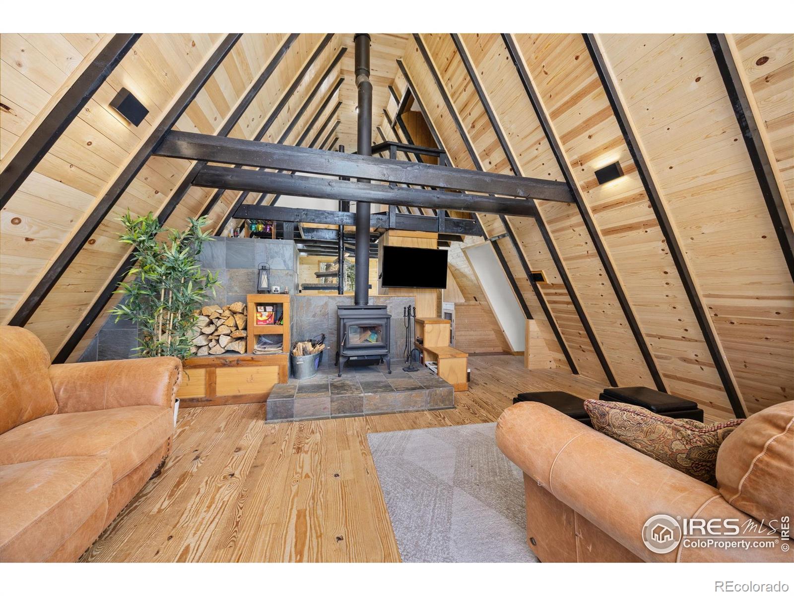 MLS Image #6 for 3497  coal creek canyon drive,pinecliffe, Colorado