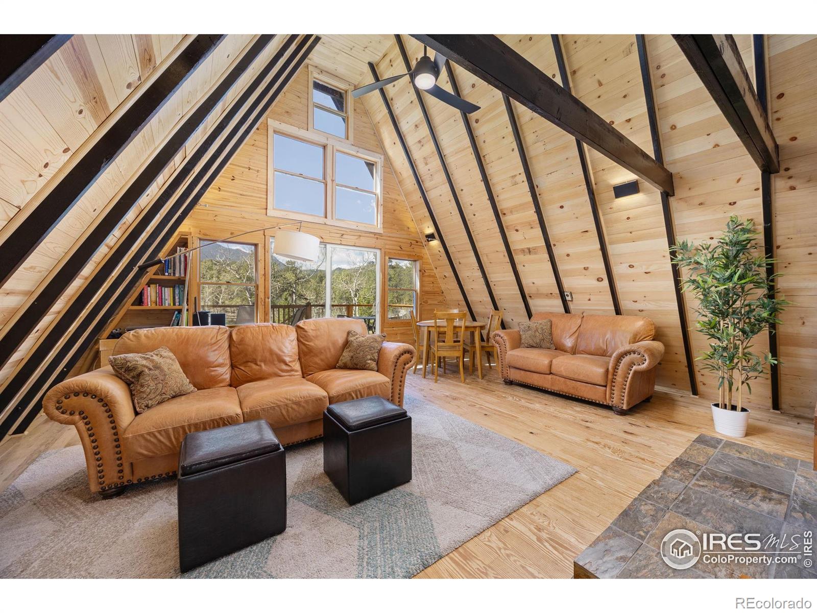 MLS Image #7 for 3497  coal creek canyon drive,pinecliffe, Colorado