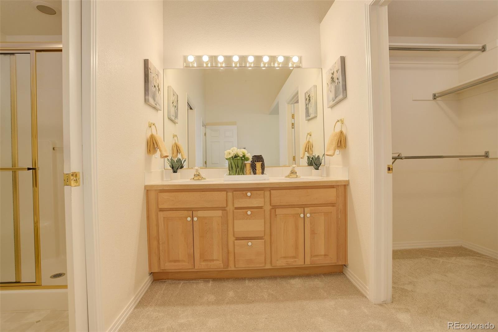 MLS Image #20 for 160  las lunas street,castle rock, Colorado