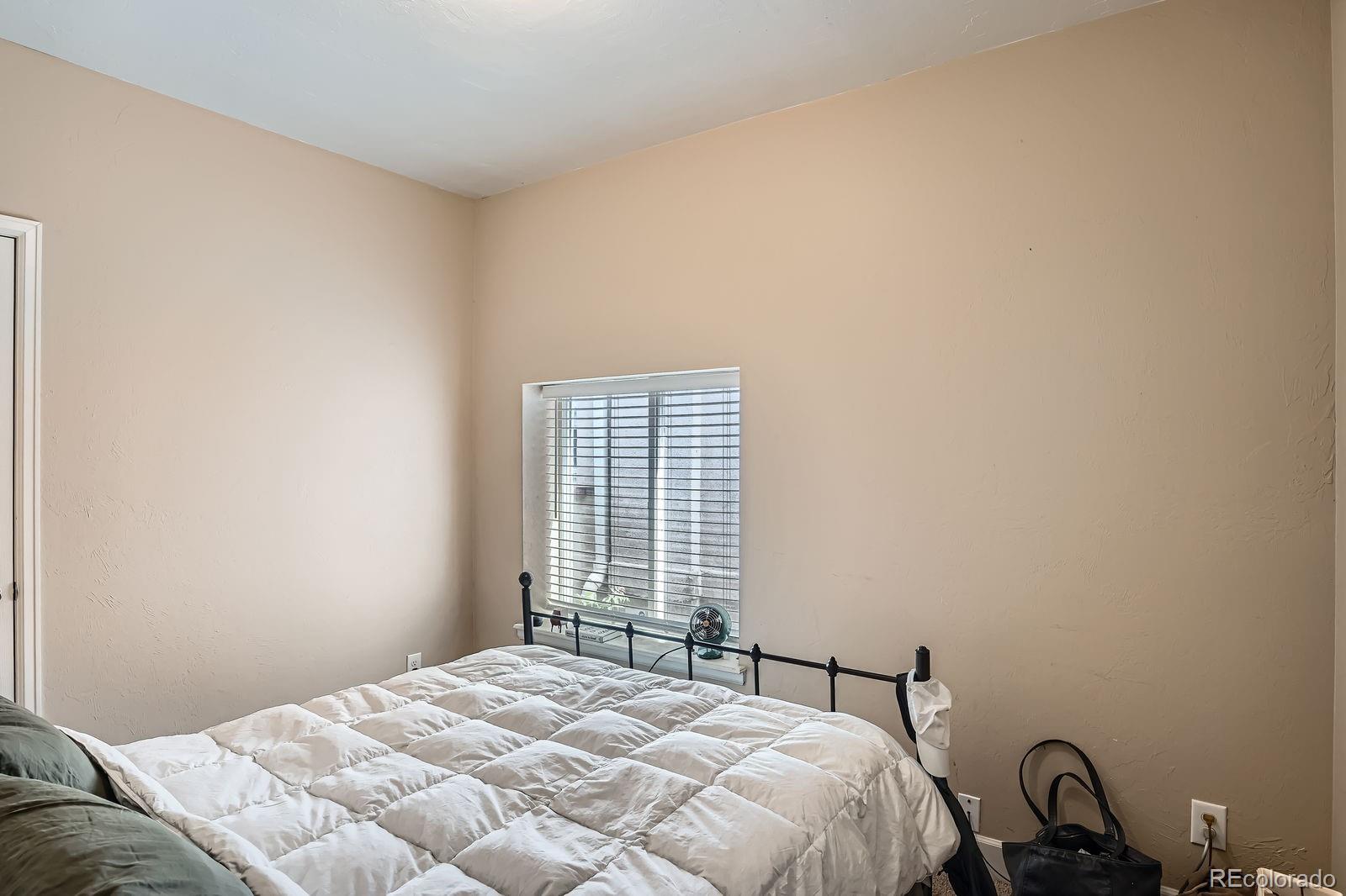 MLS Image #12 for 2838  decatur street,denver, Colorado