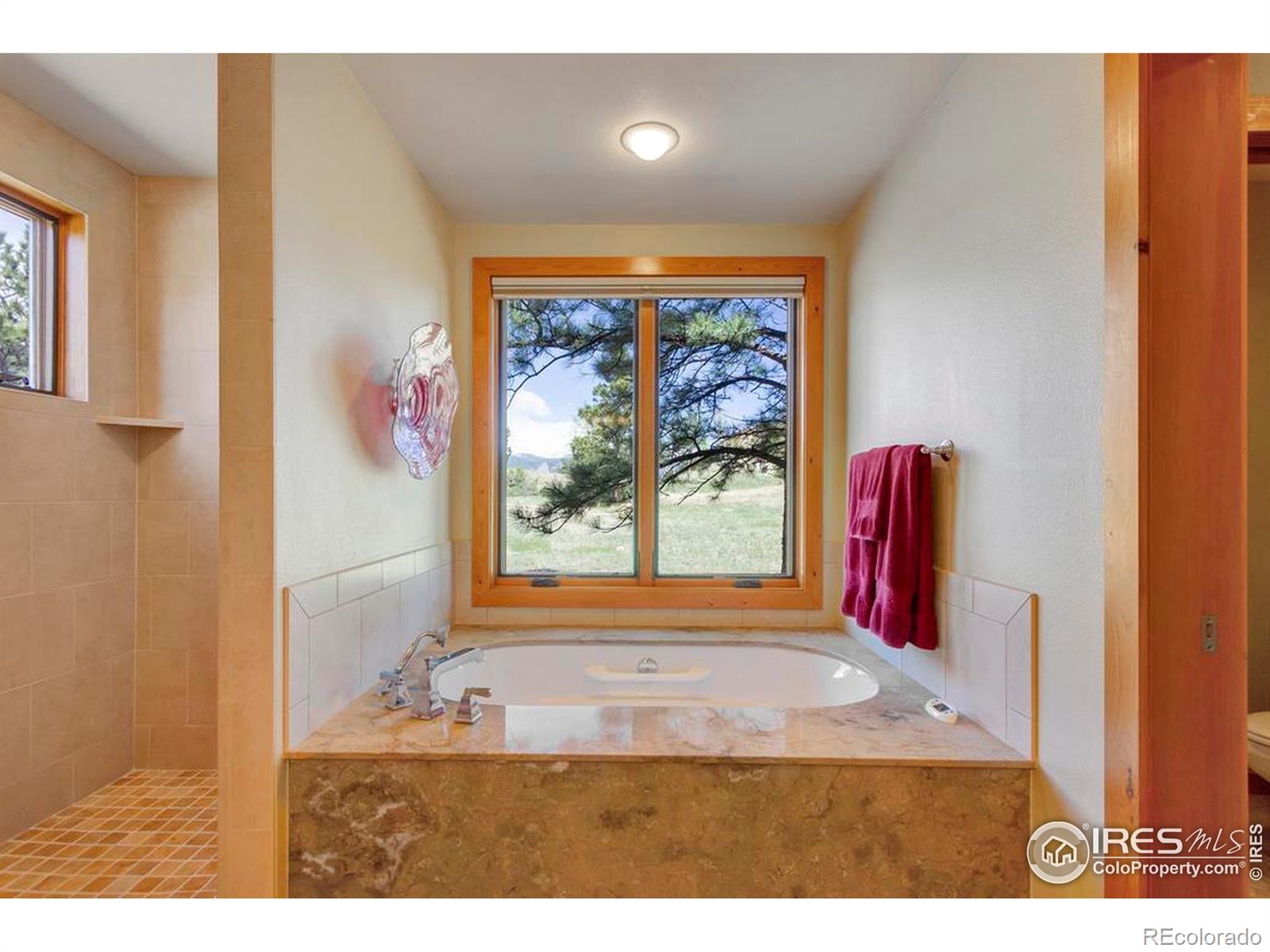MLS Image #29 for 125  saddleback lane,estes park, Colorado