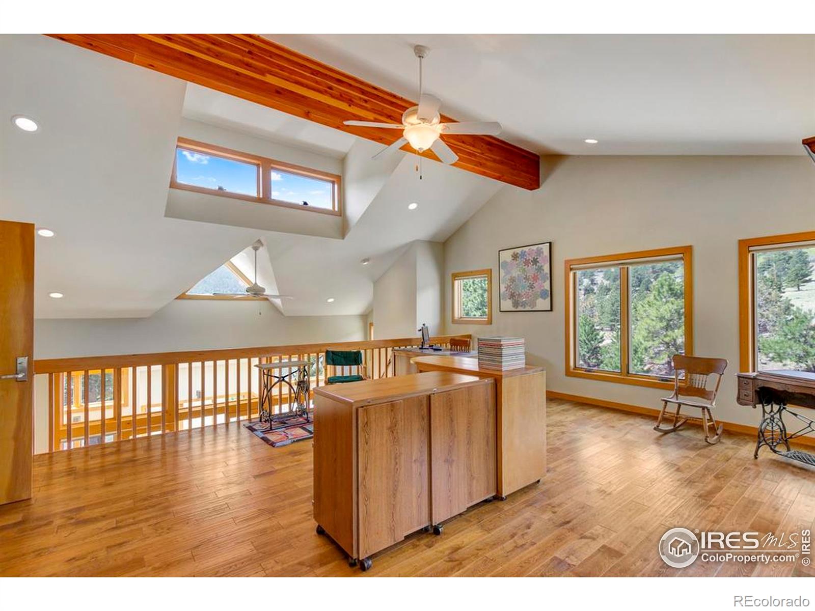 MLS Image #36 for 125  saddleback lane,estes park, Colorado