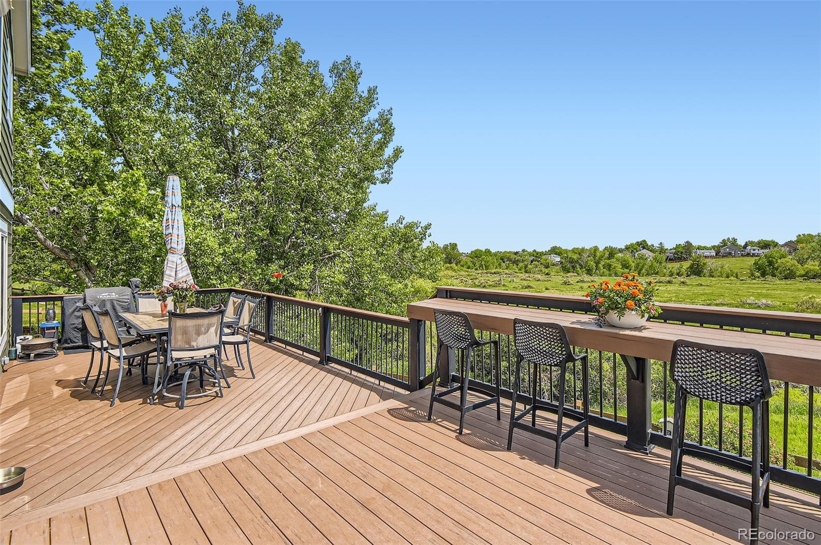 MLS Image #19 for 9229  sugarstone circle,highlands ranch, Colorado
