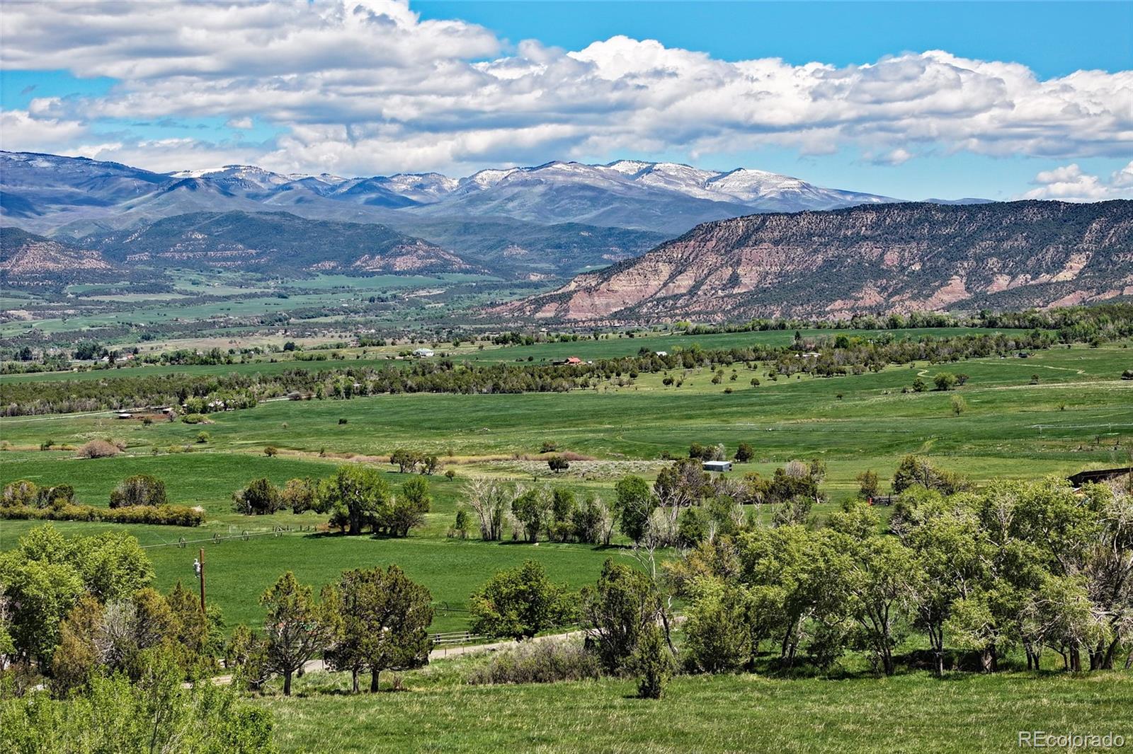 MLS Image #10 for 57191  me road,collbran, Colorado