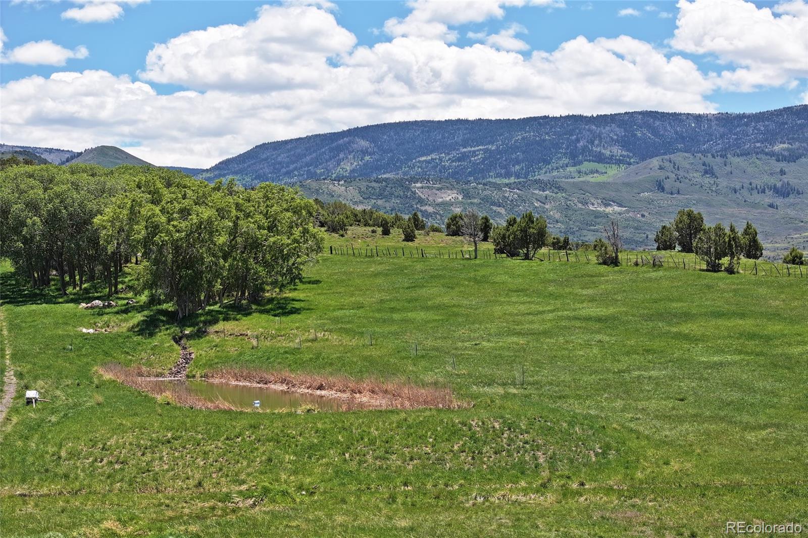 MLS Image #37 for 57191  me road,collbran, Colorado