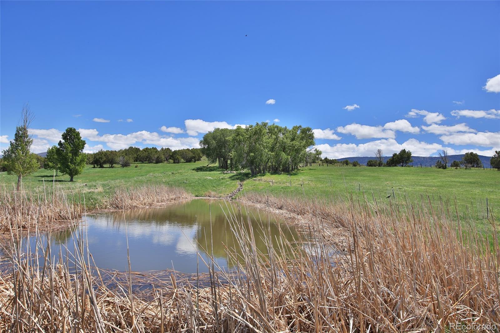 MLS Image #38 for 57191  me road,collbran, Colorado