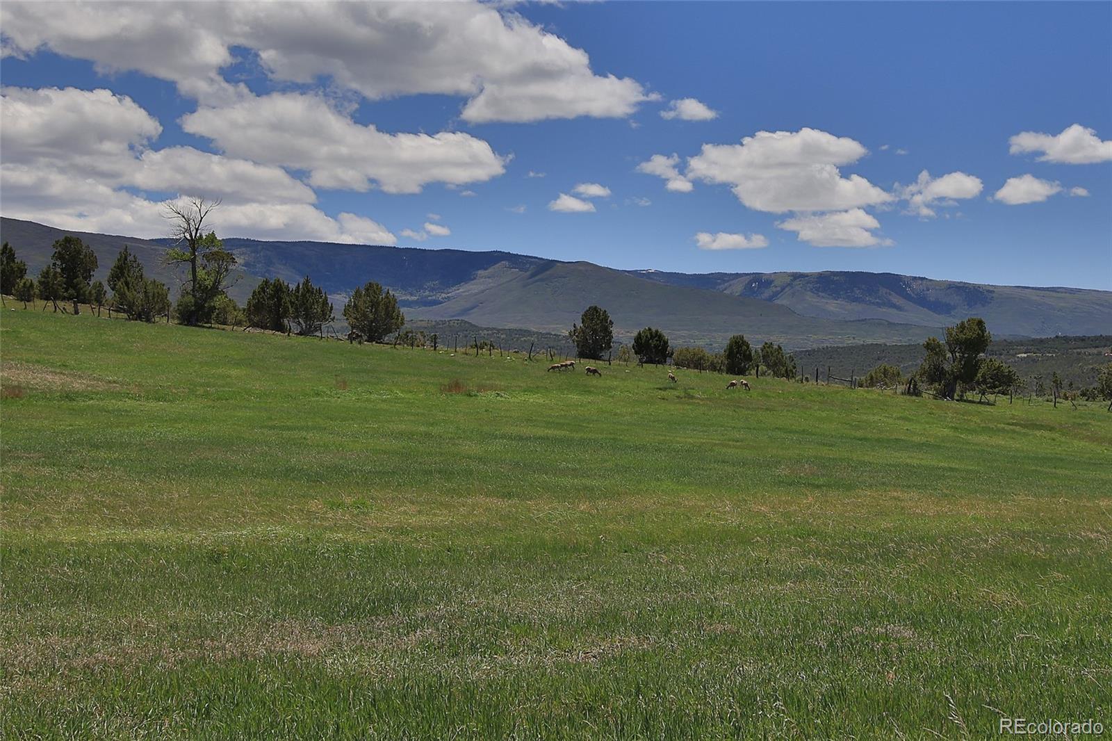 MLS Image #40 for 57191  me road,collbran, Colorado
