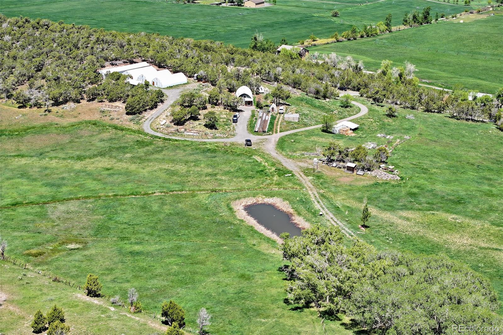 MLS Image #7 for 57191  me road,collbran, Colorado