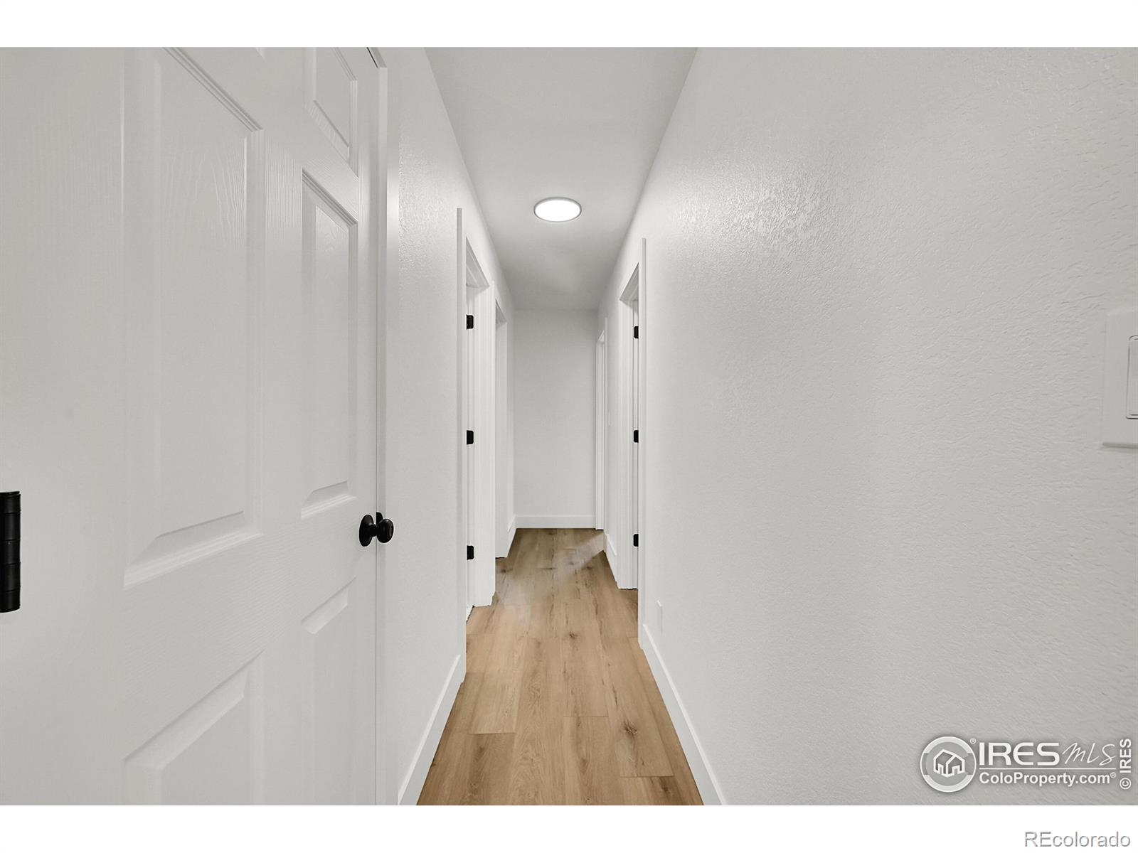 MLS Image #29 for 2141  bluebell avenue,greeley, Colorado