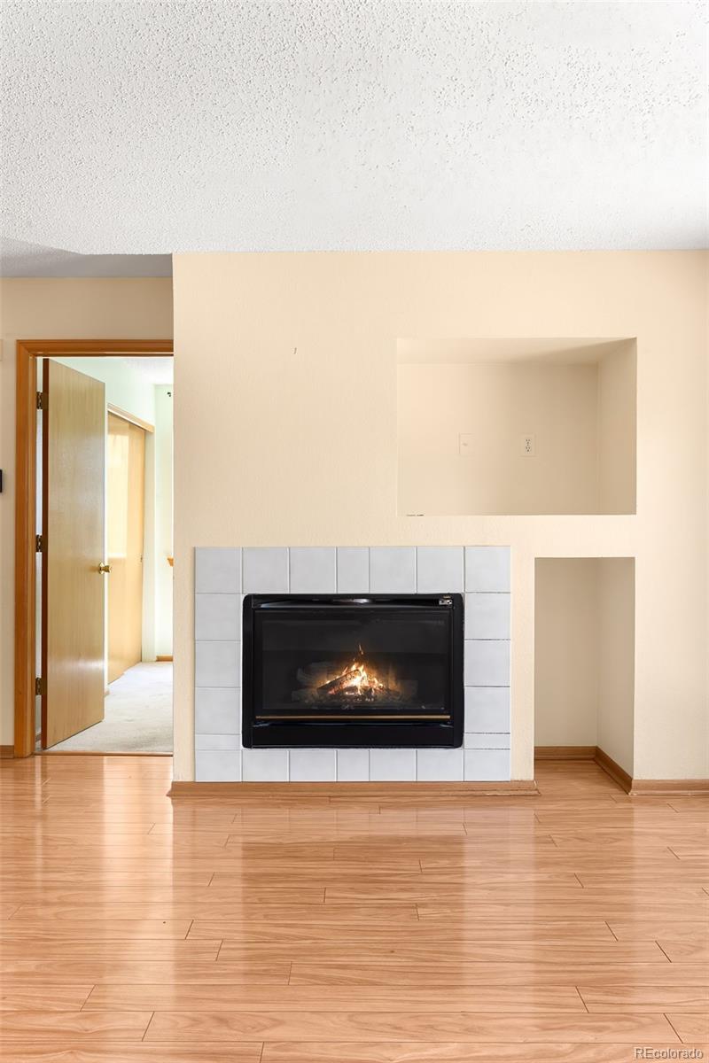MLS Image #20 for 8879  apache plume drive,parker, Colorado