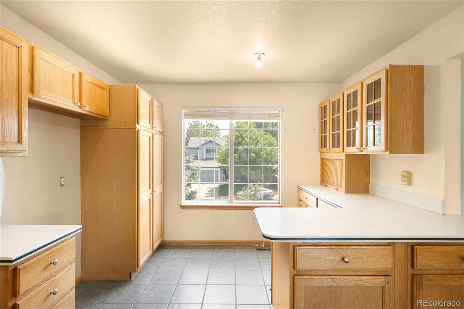 MLS Image #9 for 8879  apache plume drive,parker, Colorado
