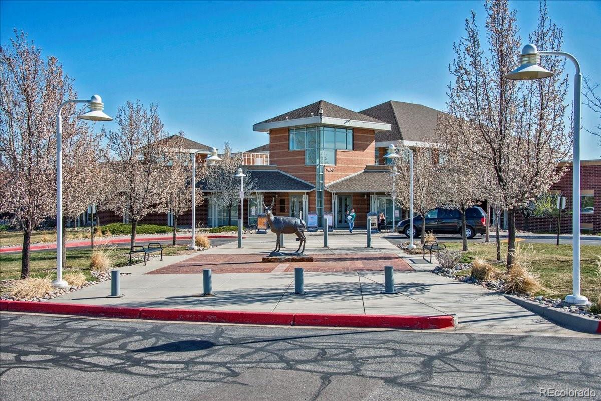 MLS Image #34 for 10685  cherrybrook circle,highlands ranch, Colorado