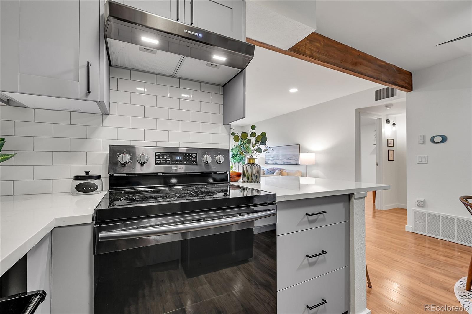 MLS Image #12 for 201  wright street,lakewood, Colorado