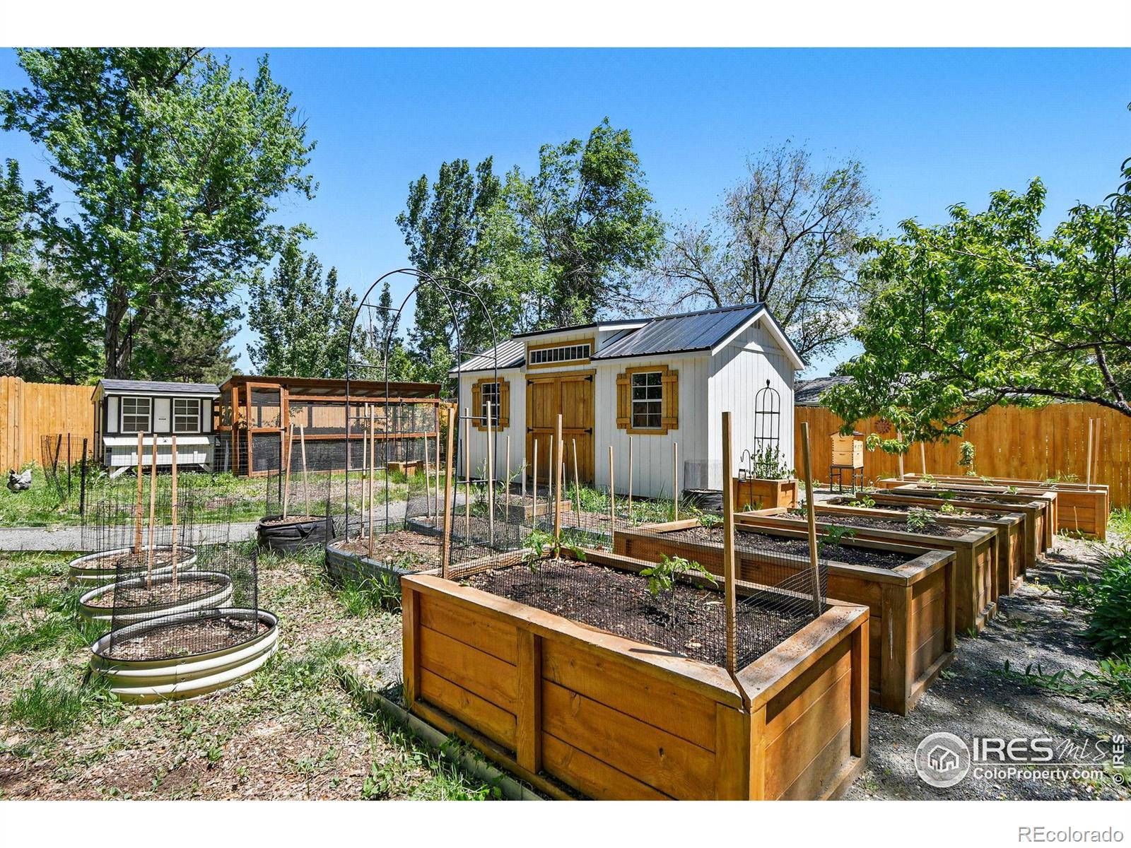 MLS Image #34 for 2200  teller street,lakewood, Colorado