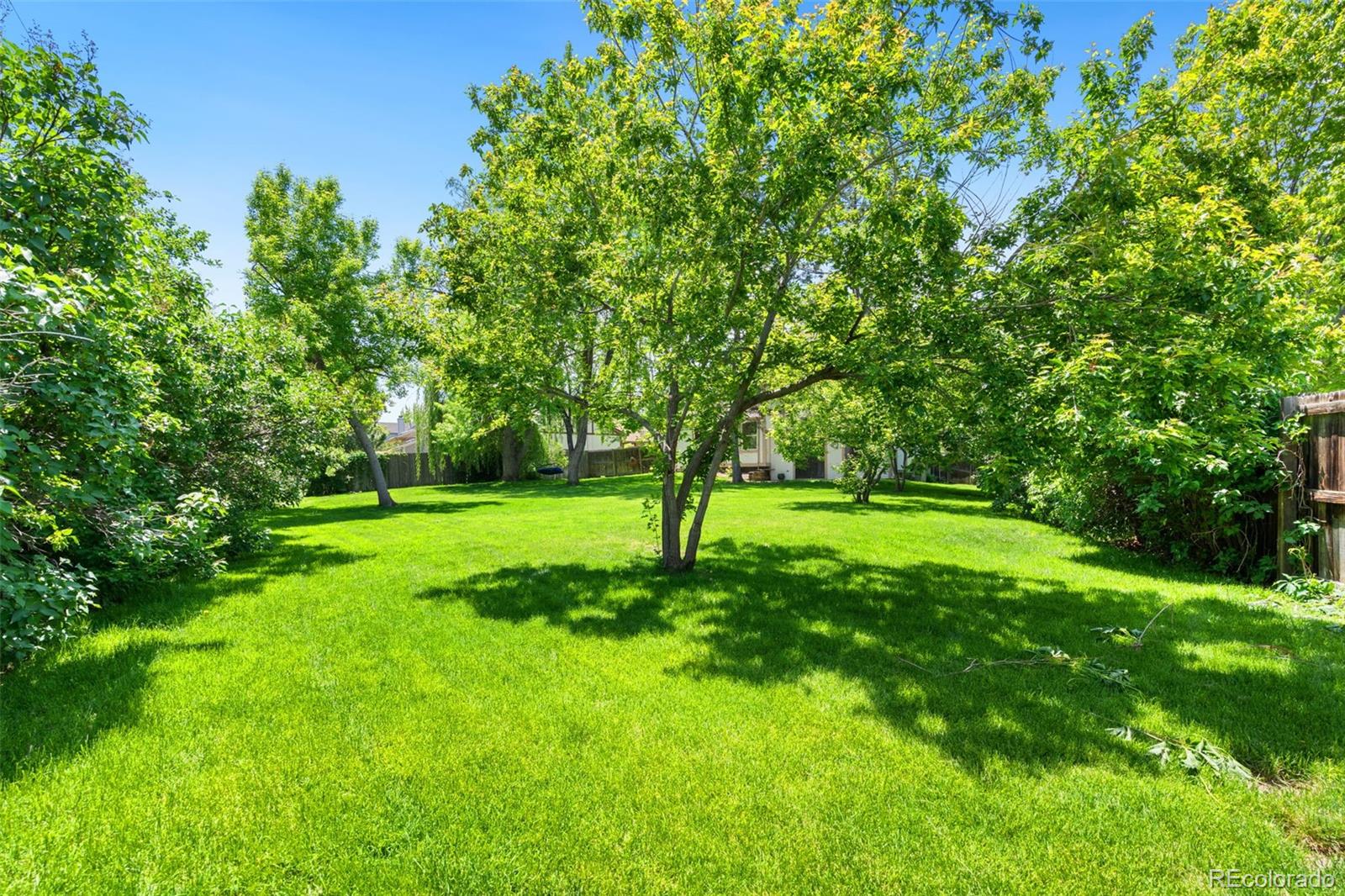 MLS Image #32 for 6544  alkire court,arvada, Colorado