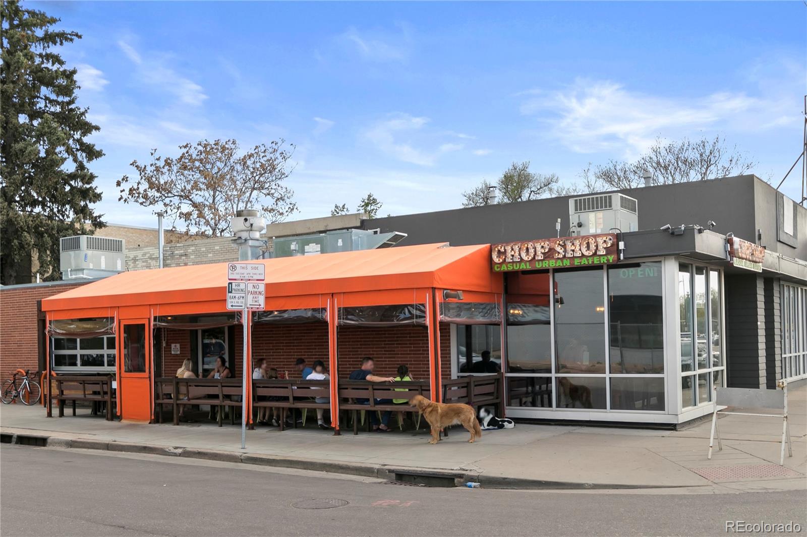 MLS Image #11 for 1541  glencoe street,denver, Colorado
