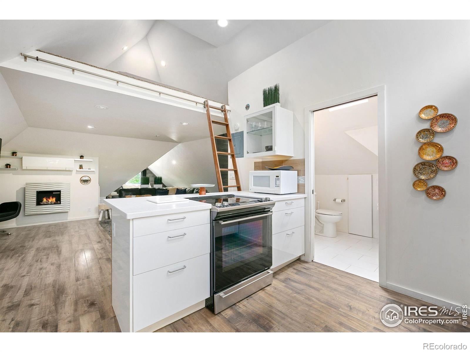MLS Image #20 for 424 w oak street,fort collins, Colorado
