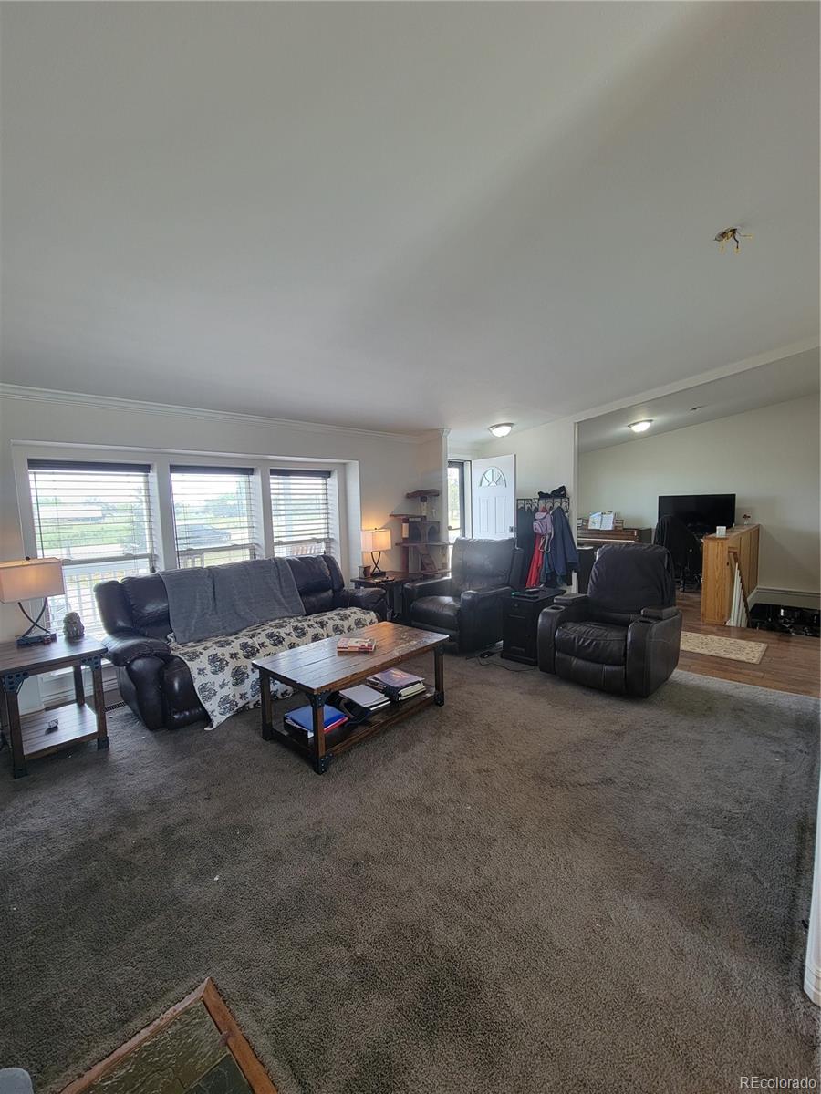 MLS Image #2 for 58117 e 42nd drive,strasburg, Colorado