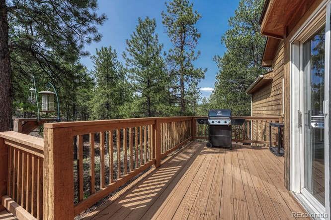 MLS Image #4 for 14694  crooked trail road,woodland park, Colorado