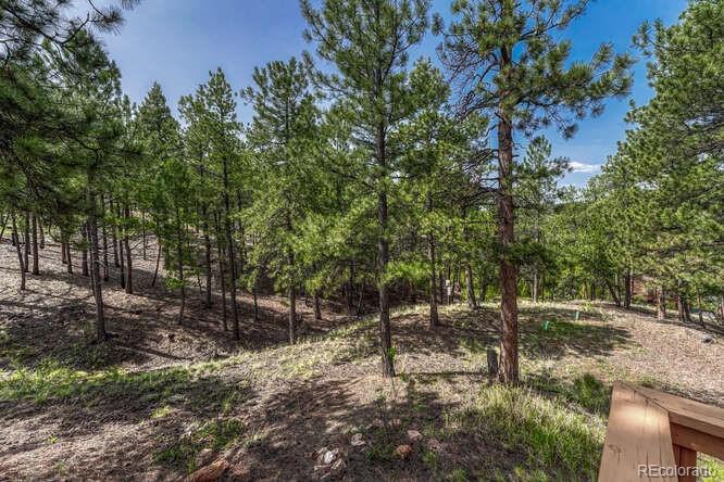 MLS Image #6 for 14694  crooked trail road,woodland park, Colorado