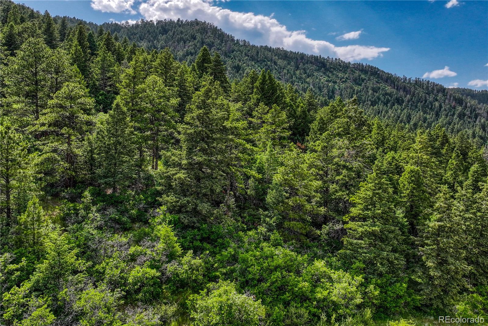 MLS Image #47 for 15533 s perry park road,palmer lake, Colorado