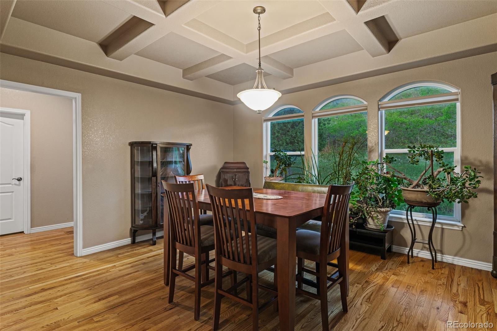 MLS Image #16 for 6402  wauconda drive,larkspur, Colorado