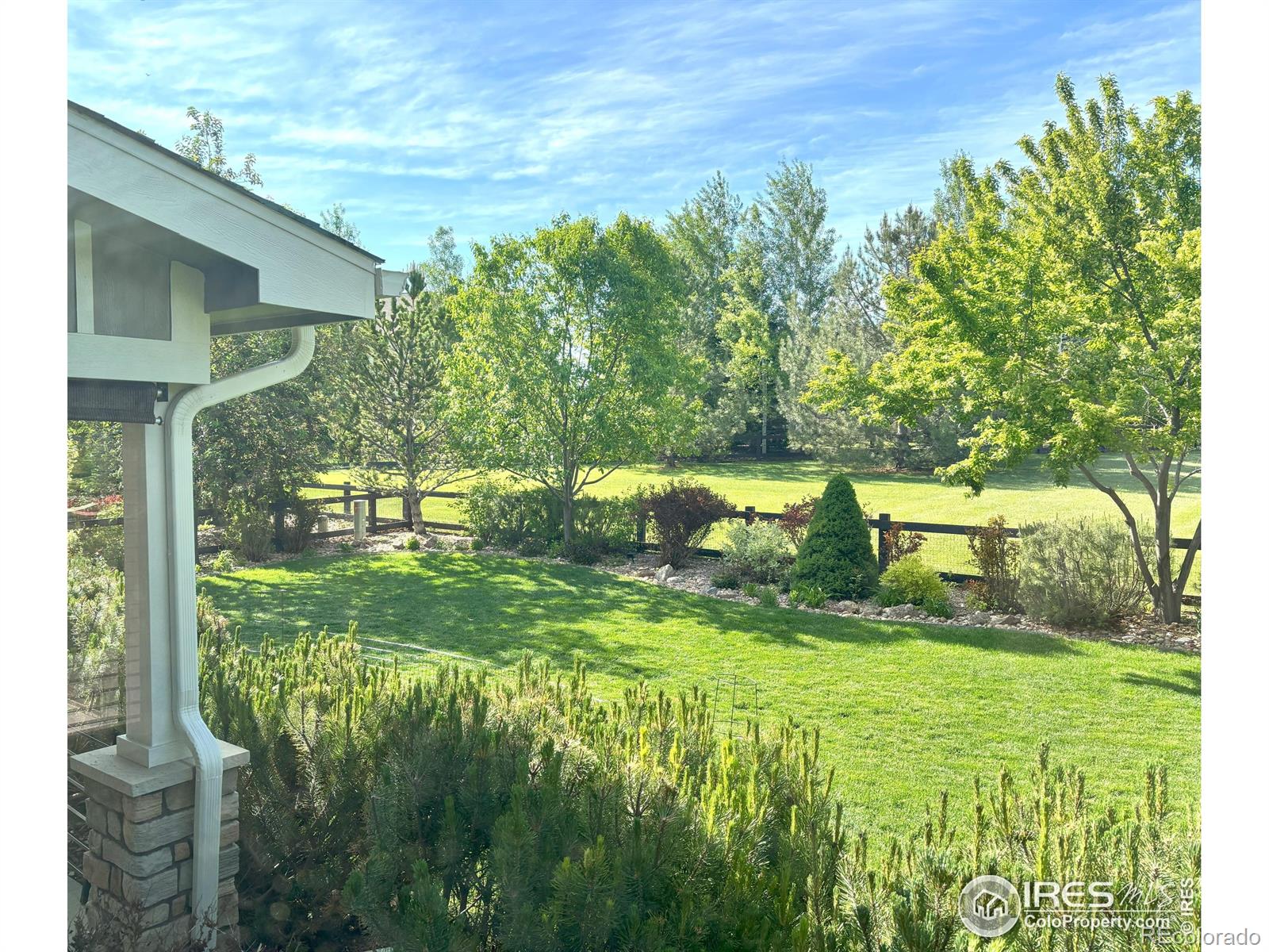 MLS Image #10 for 6523  spanish bay drive,windsor, Colorado