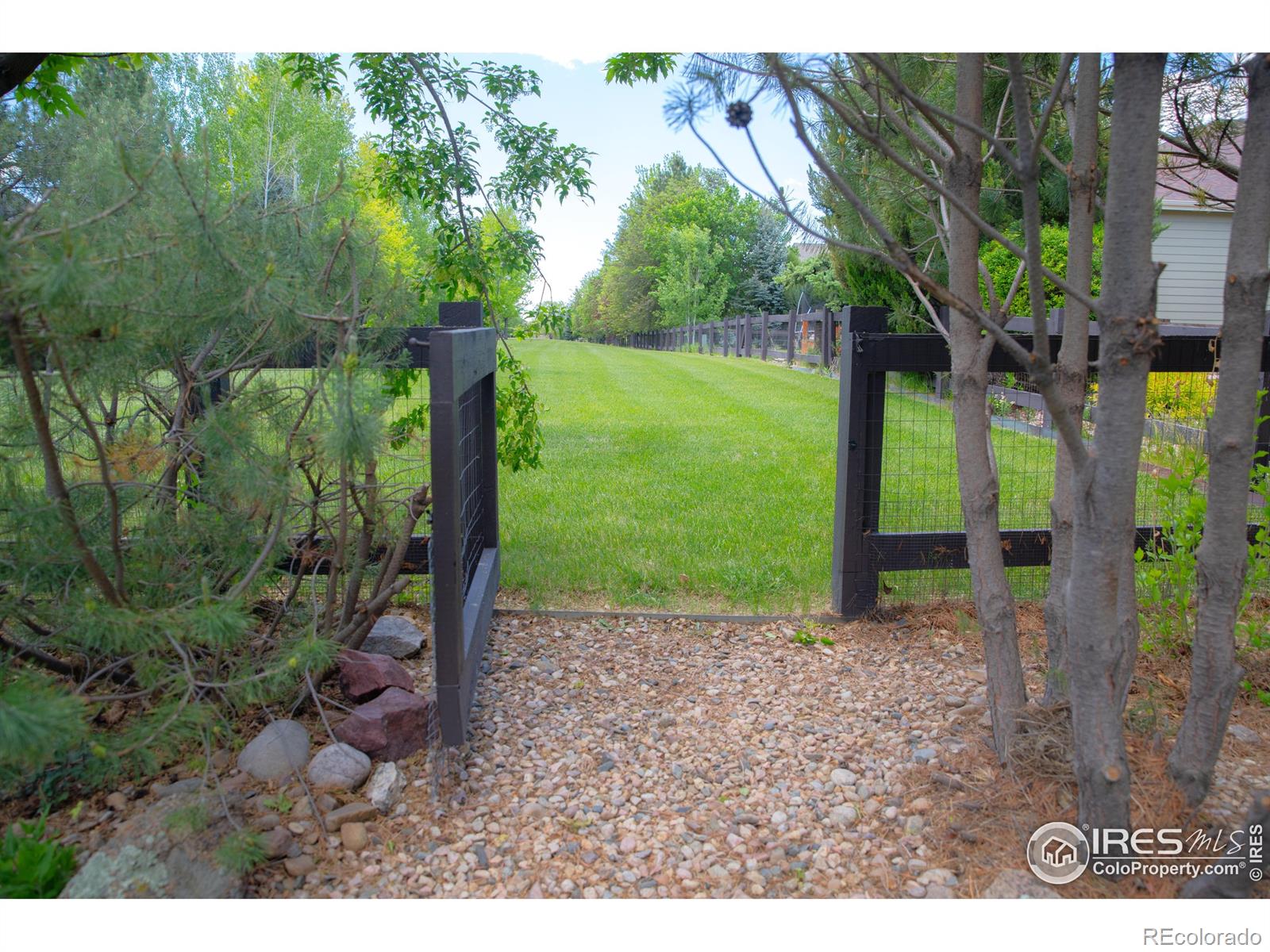 MLS Image #38 for 6523  spanish bay drive,windsor, Colorado