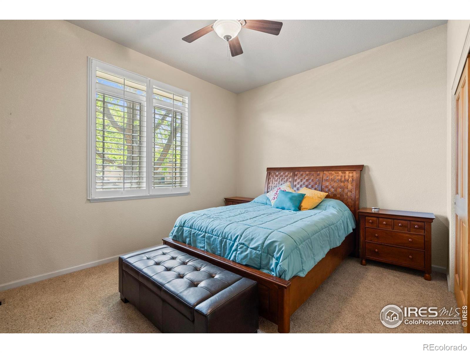 MLS Image #13 for 6535  half moon bay drive,windsor, Colorado