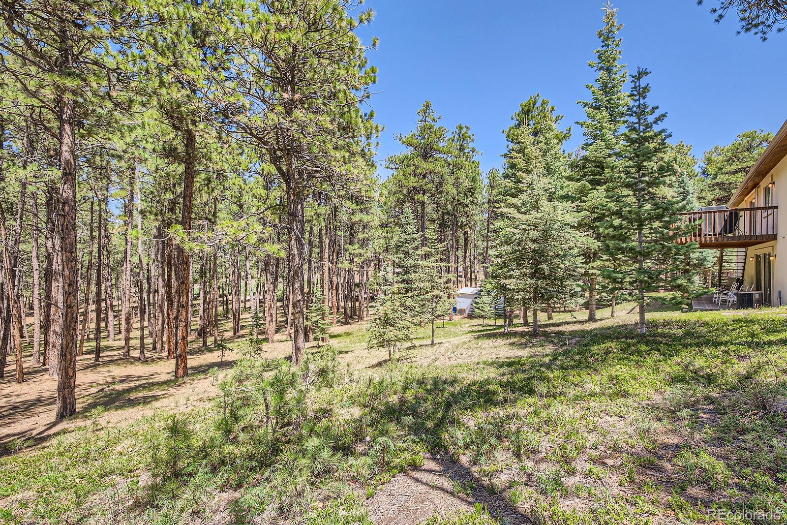 MLS Image #26 for 18150  martingale road,monument, Colorado