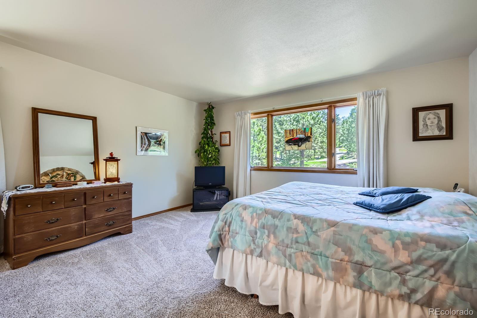 MLS Image #9 for 18150  martingale road,monument, Colorado