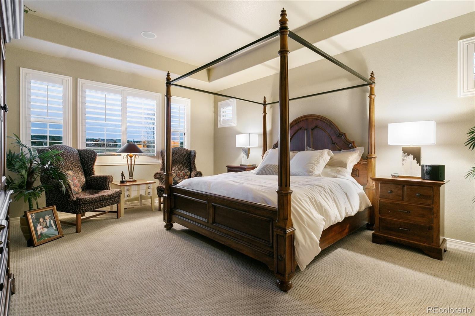 MLS Image #9 for 2328  margaux valley way,colorado springs, Colorado