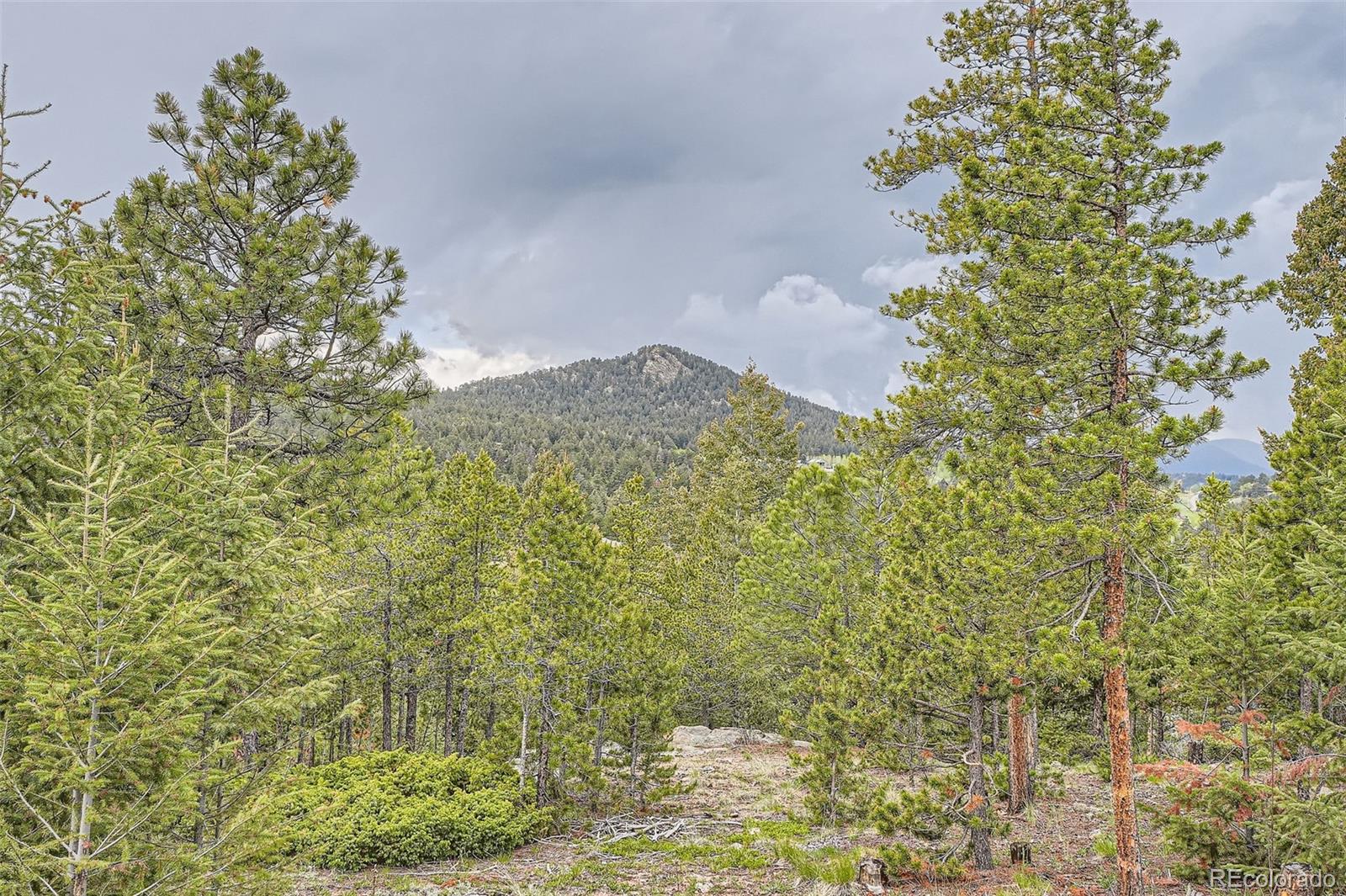 MLS Image #26 for 30839  manitoba drive,evergreen, Colorado