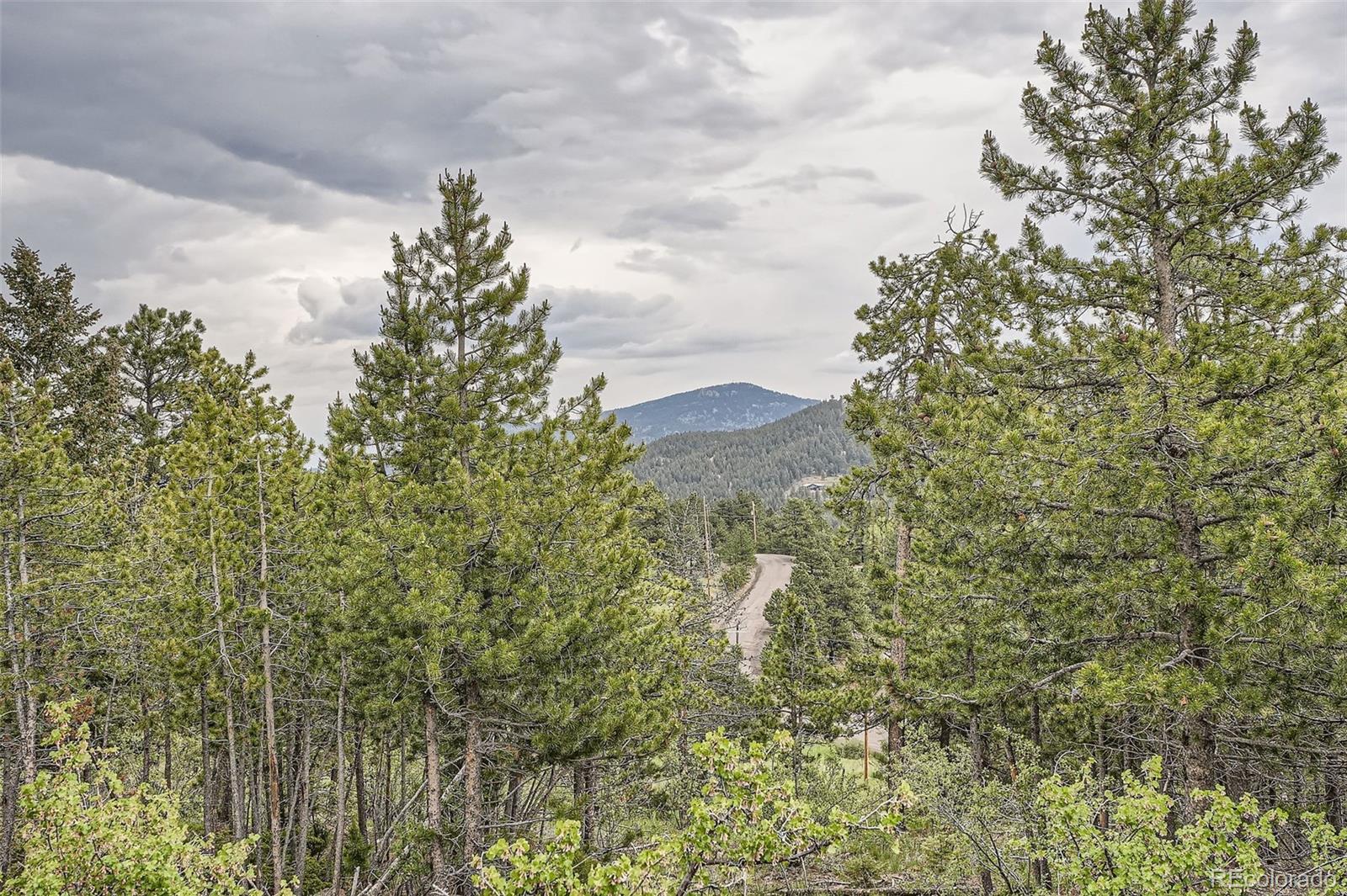 MLS Image #27 for 30839  manitoba drive,evergreen, Colorado