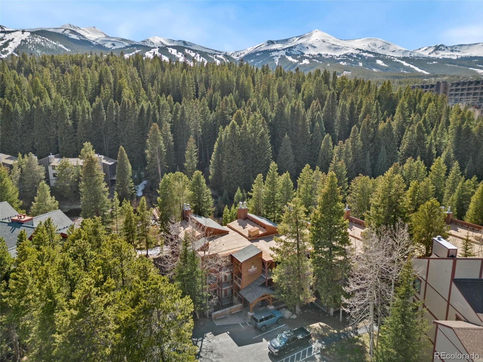 MLS Image #1 for 805  columbine road,breckenridge, Colorado