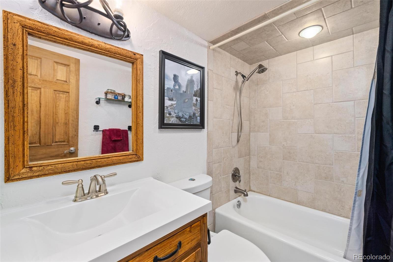 MLS Image #13 for 805  columbine road,breckenridge, Colorado