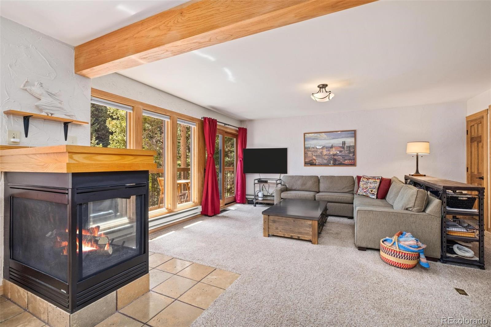 MLS Image #3 for 805  columbine road,breckenridge, Colorado