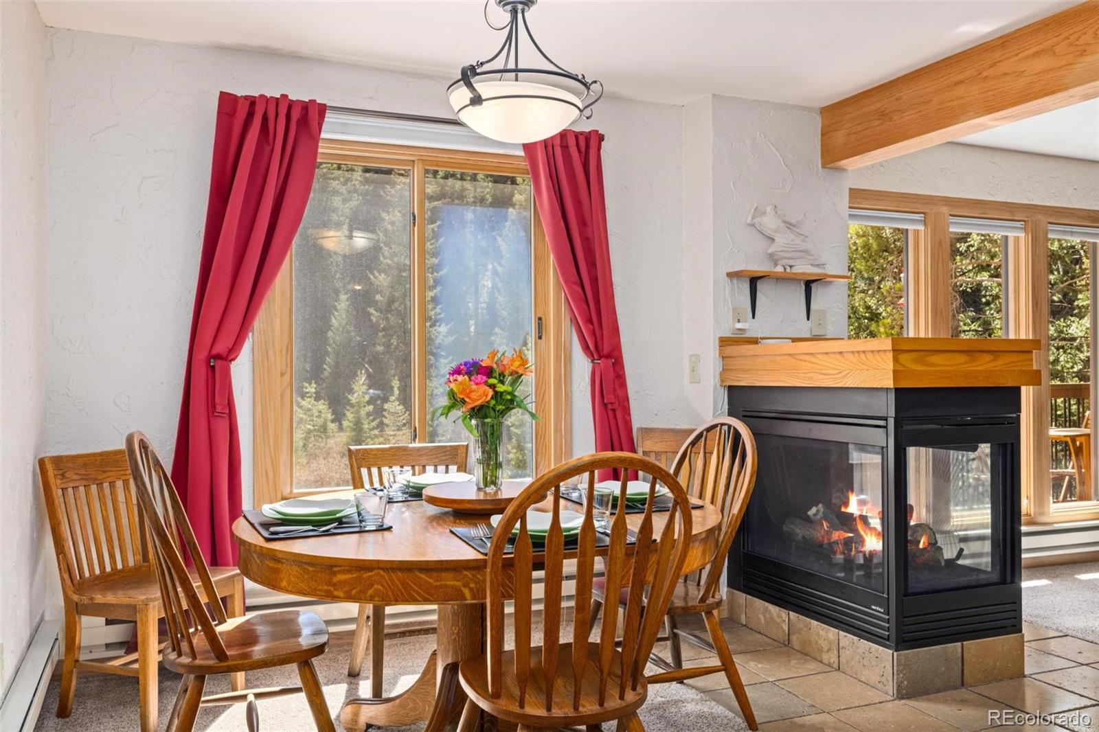MLS Image #5 for 805  columbine road,breckenridge, Colorado