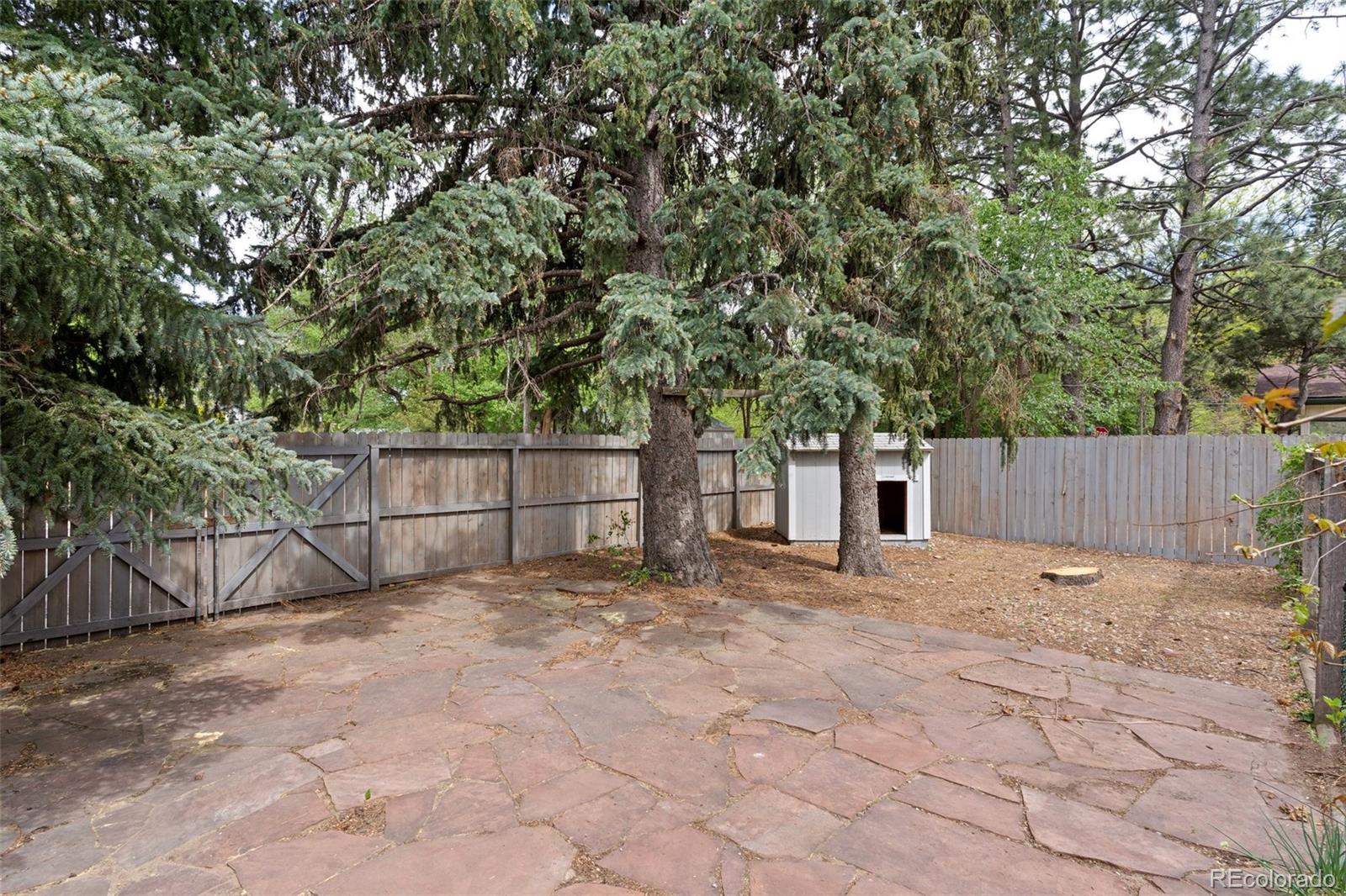 MLS Image #38 for 603  three eagles street,colorado springs, Colorado