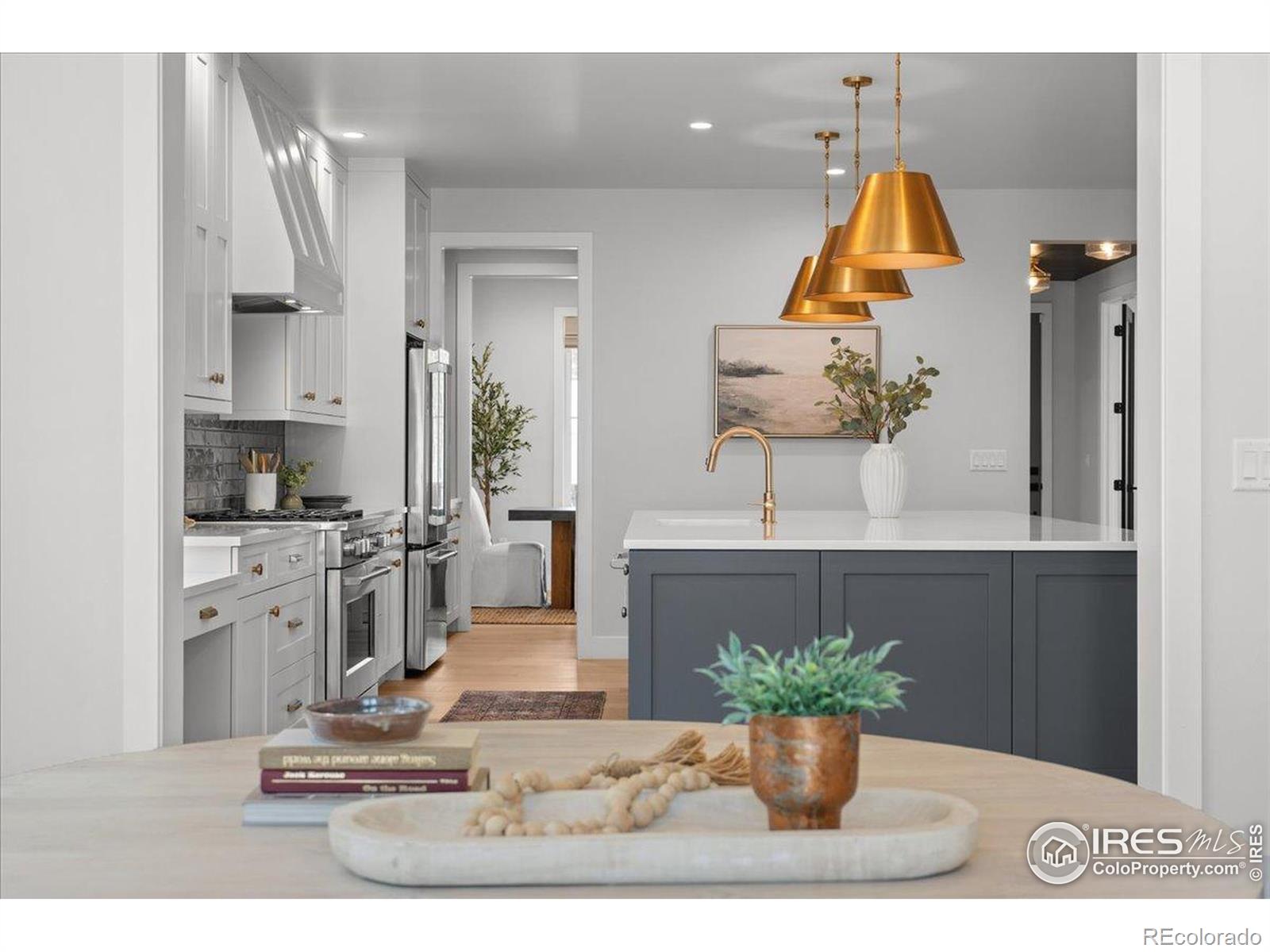 MLS Image #16 for 3256 s corona street,englewood, Colorado