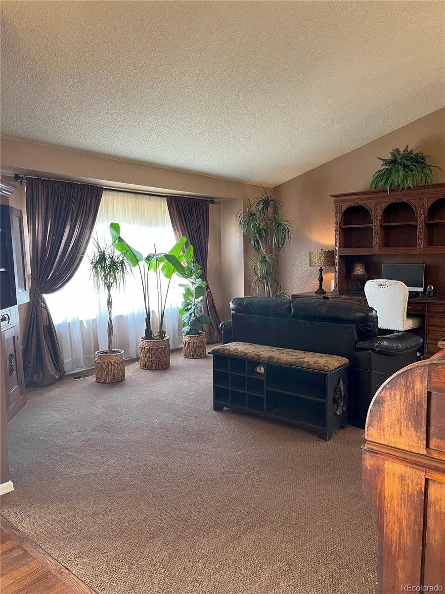 MLS Image #5 for 17046  wellington drive,parker, Colorado