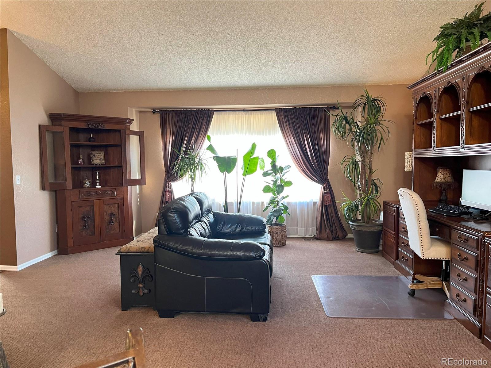 MLS Image #6 for 17046  wellington drive,parker, Colorado