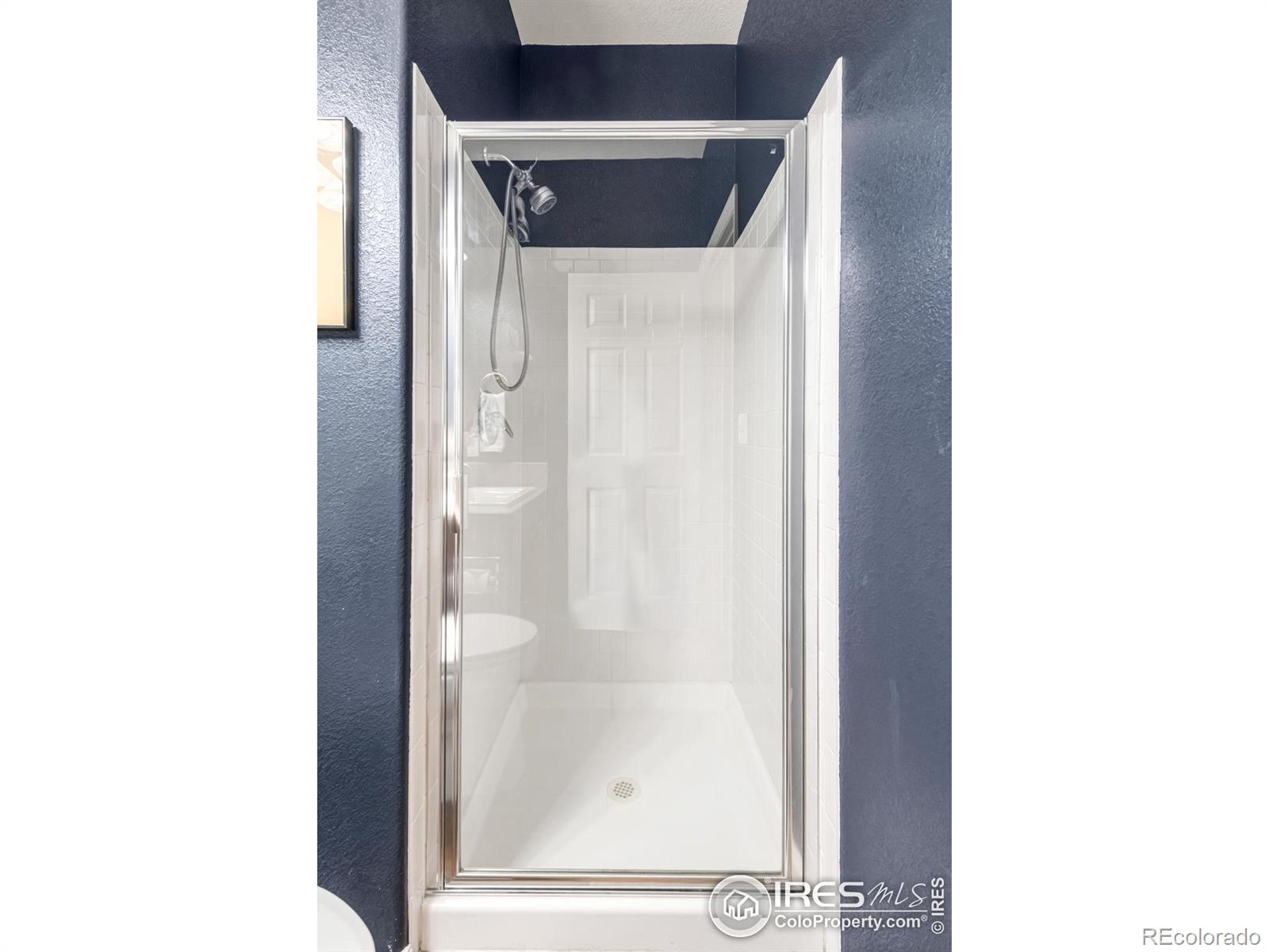 MLS Image #19 for 2933  hunt court,erie, Colorado