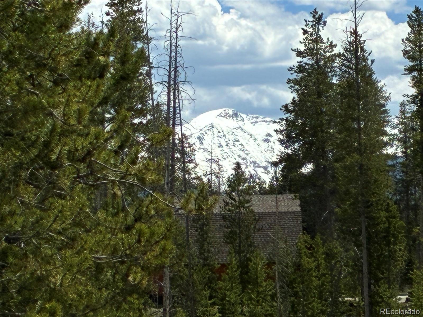 MLS Image #23 for 23976  county rd 50 ,fraser, Colorado