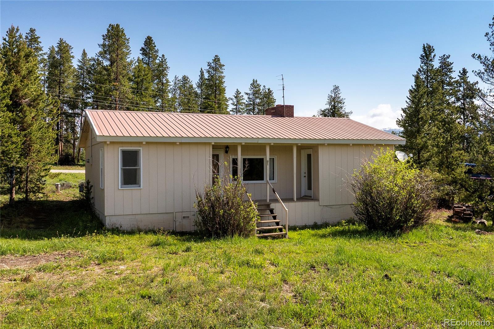 MLS Image #3 for 23976  county rd 50 ,fraser, Colorado