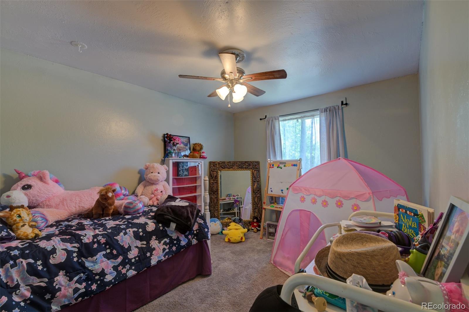 MLS Image #12 for 4465  london lane,colorado springs, Colorado