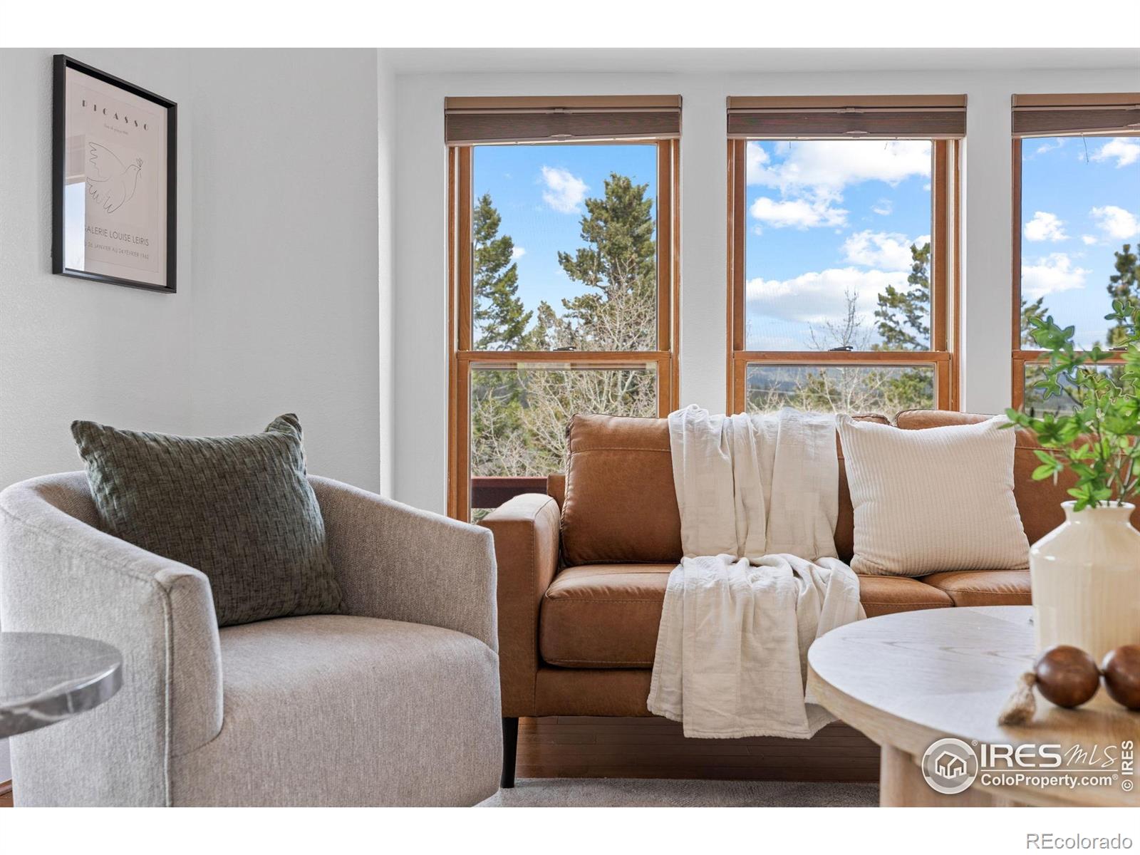 MLS Image #10 for 880  hummer drive,nederland, Colorado